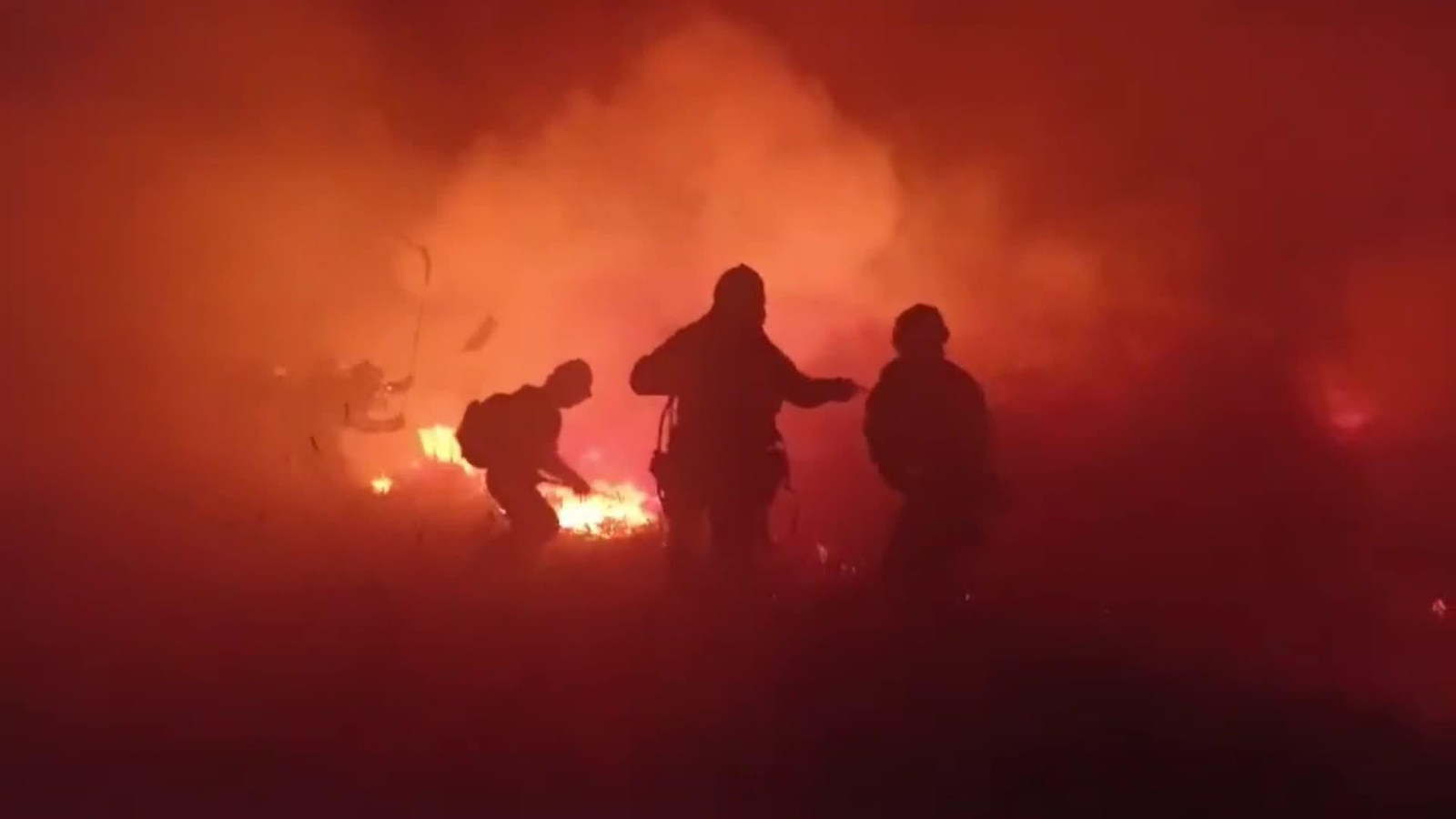 web muertes por el humo