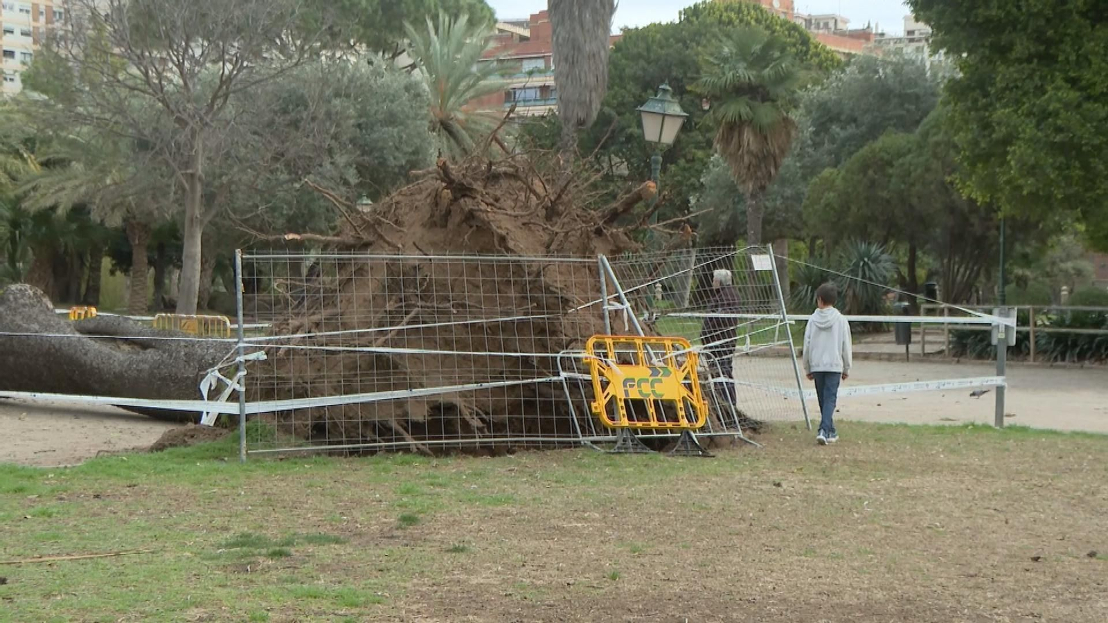 Valencia recupera la normalidad tras una jornada marcada por las fuertes rachas de viento