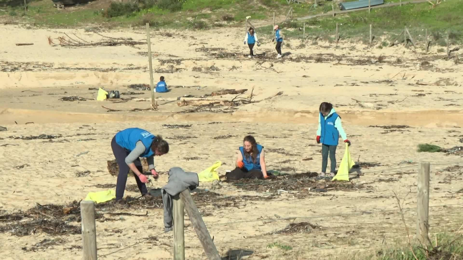S041-PONTEVEDRA LIMPIEZA PLAYAS TEMPORAL BUEU