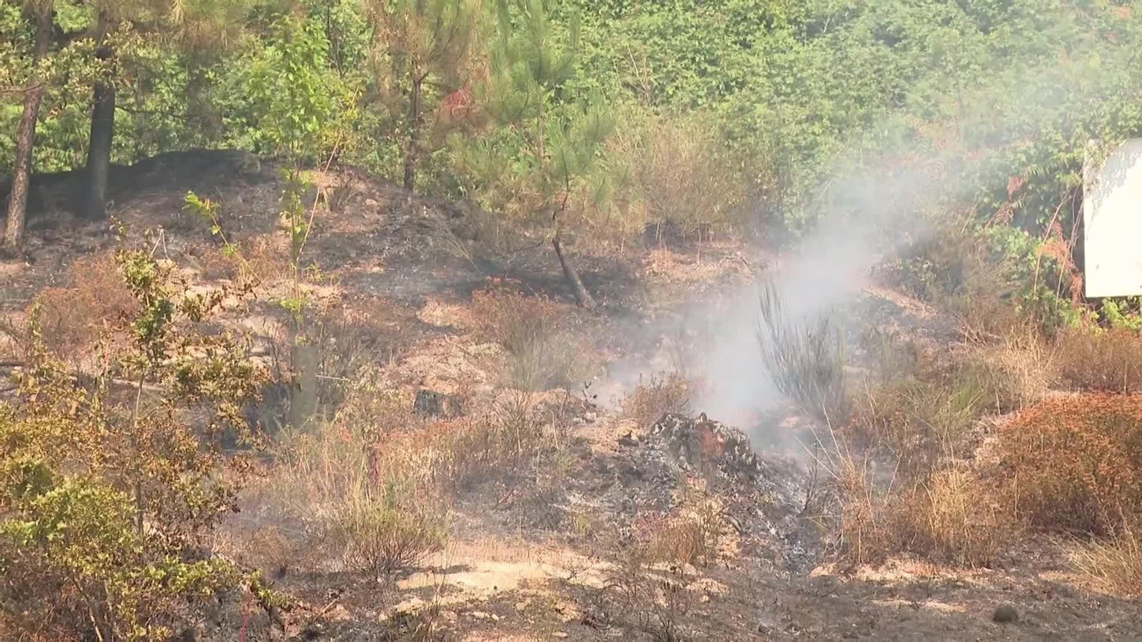 web asi esta el fuego ok
