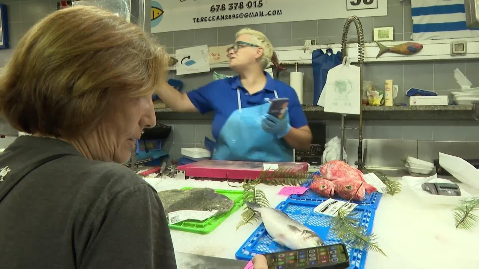 web bono compra pescado galicia
