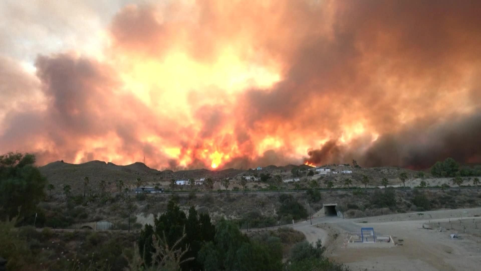 web regeneracion tras incendios