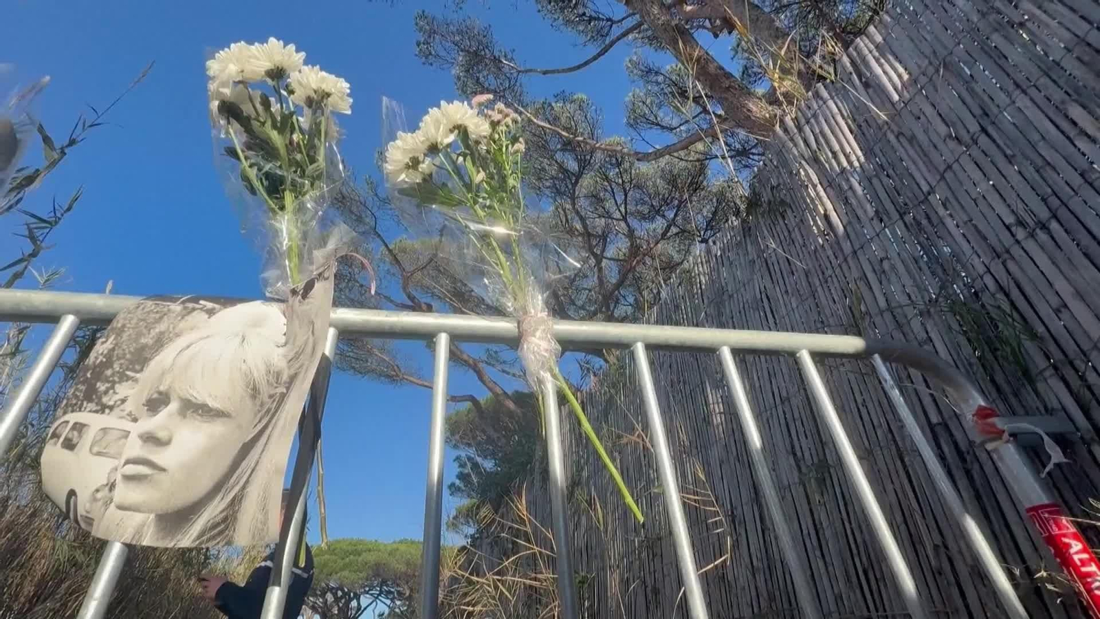 D007-FRANCIA FLORES FANS BRIGITTE BARDOT