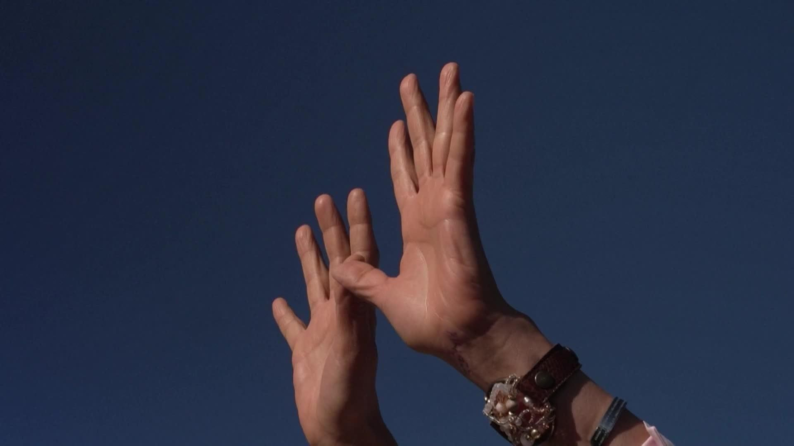 va mexico celebracion