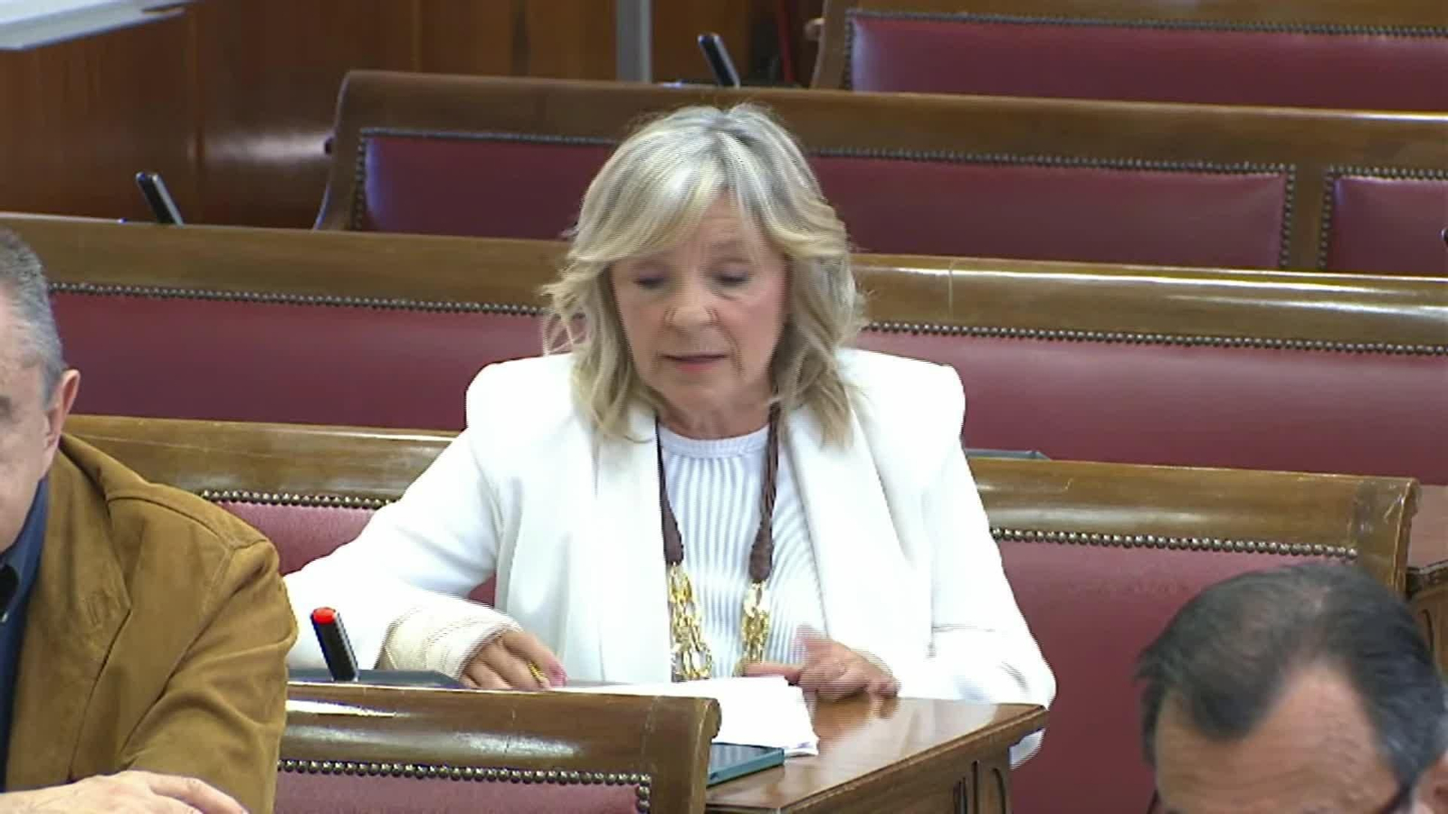 L061-MADRID COMISION CASO KOLDO SENADO FORESTALIA