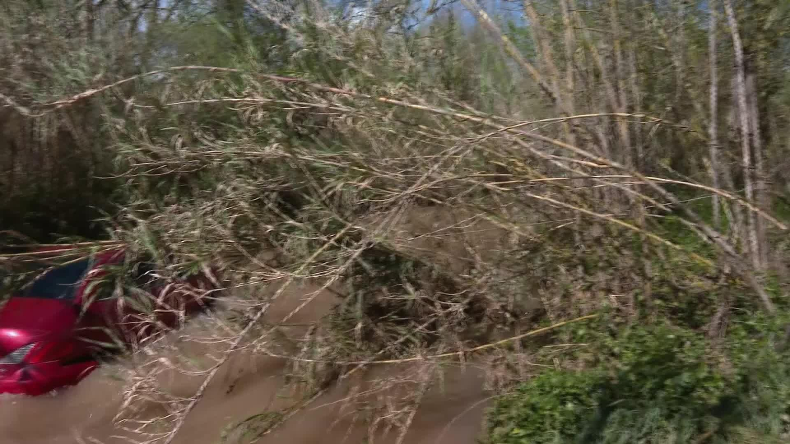 L053-BARCELONA RIERA DE LA GAIA