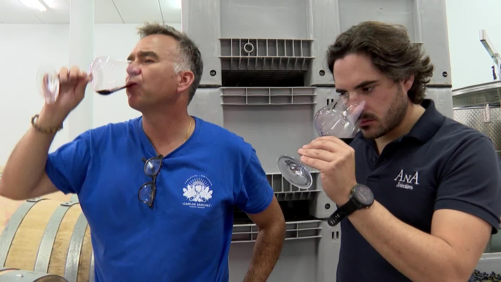 web adelanto vendimia por calor