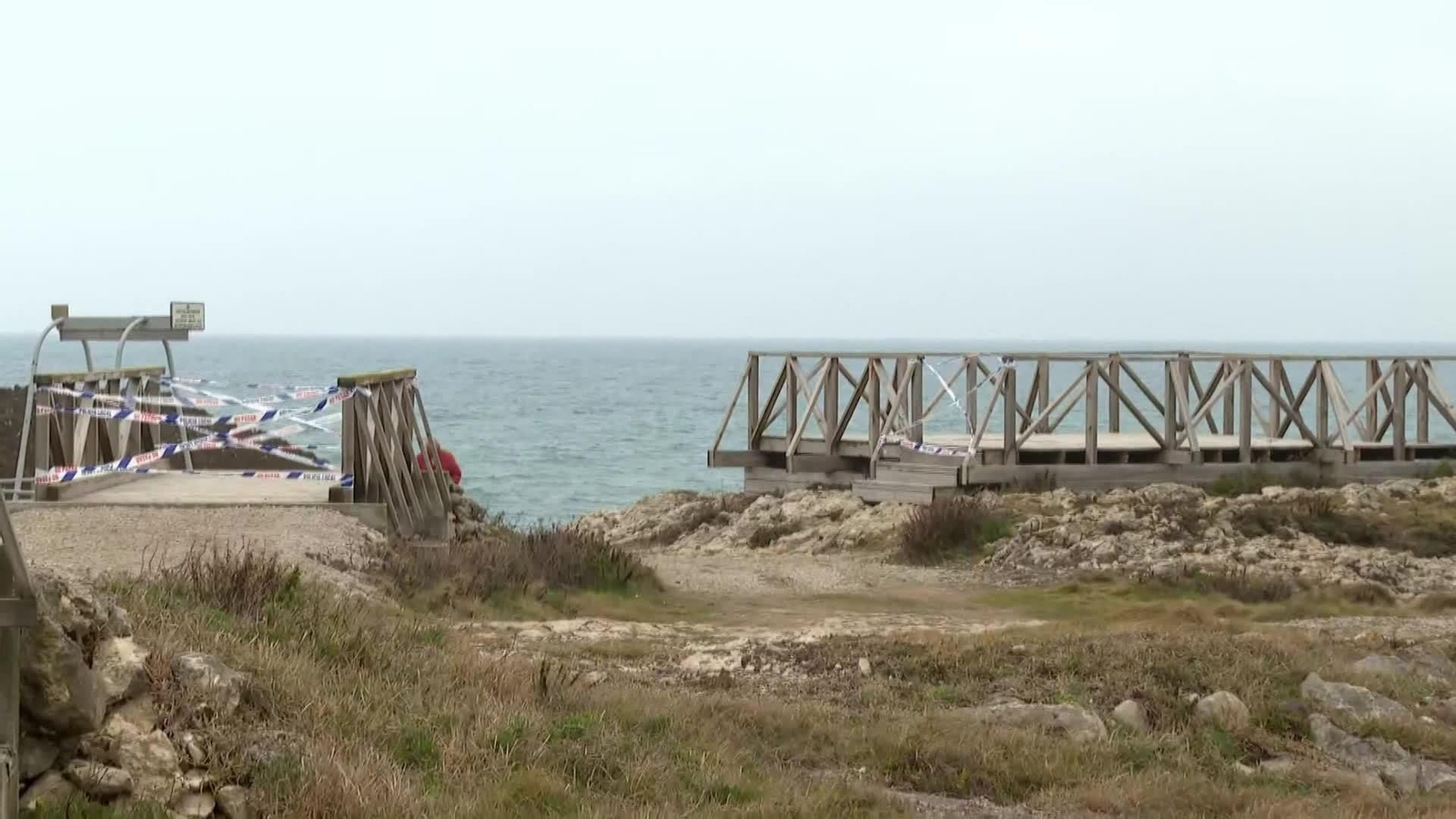 web superviviente pasarela