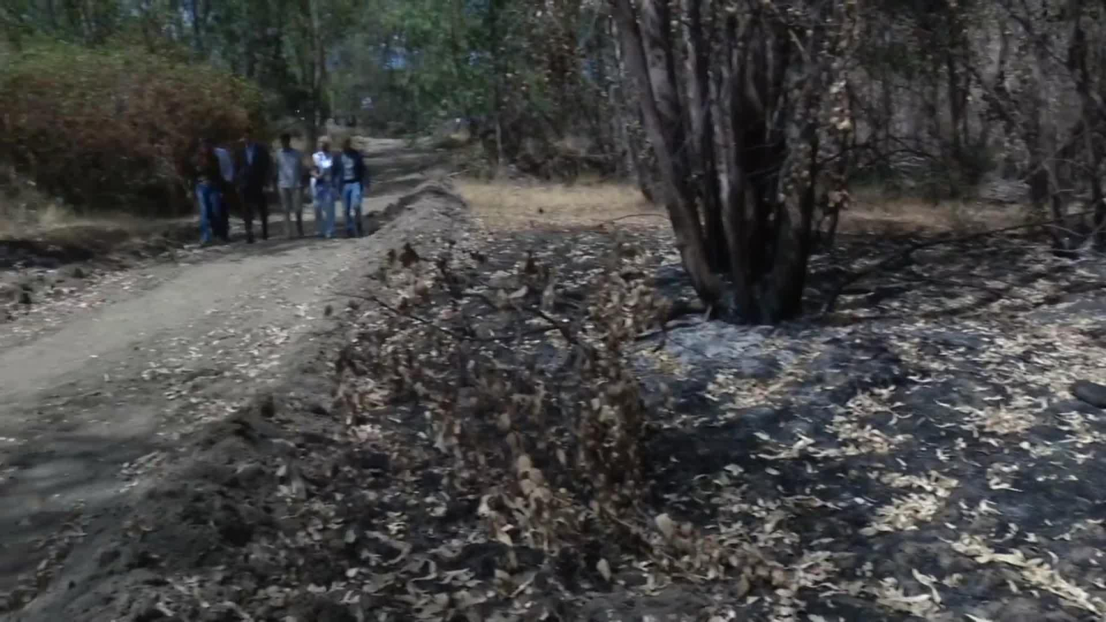 J025-HUELVA SANCHEZ VISITA ZONA DE LOS INCENDIOS