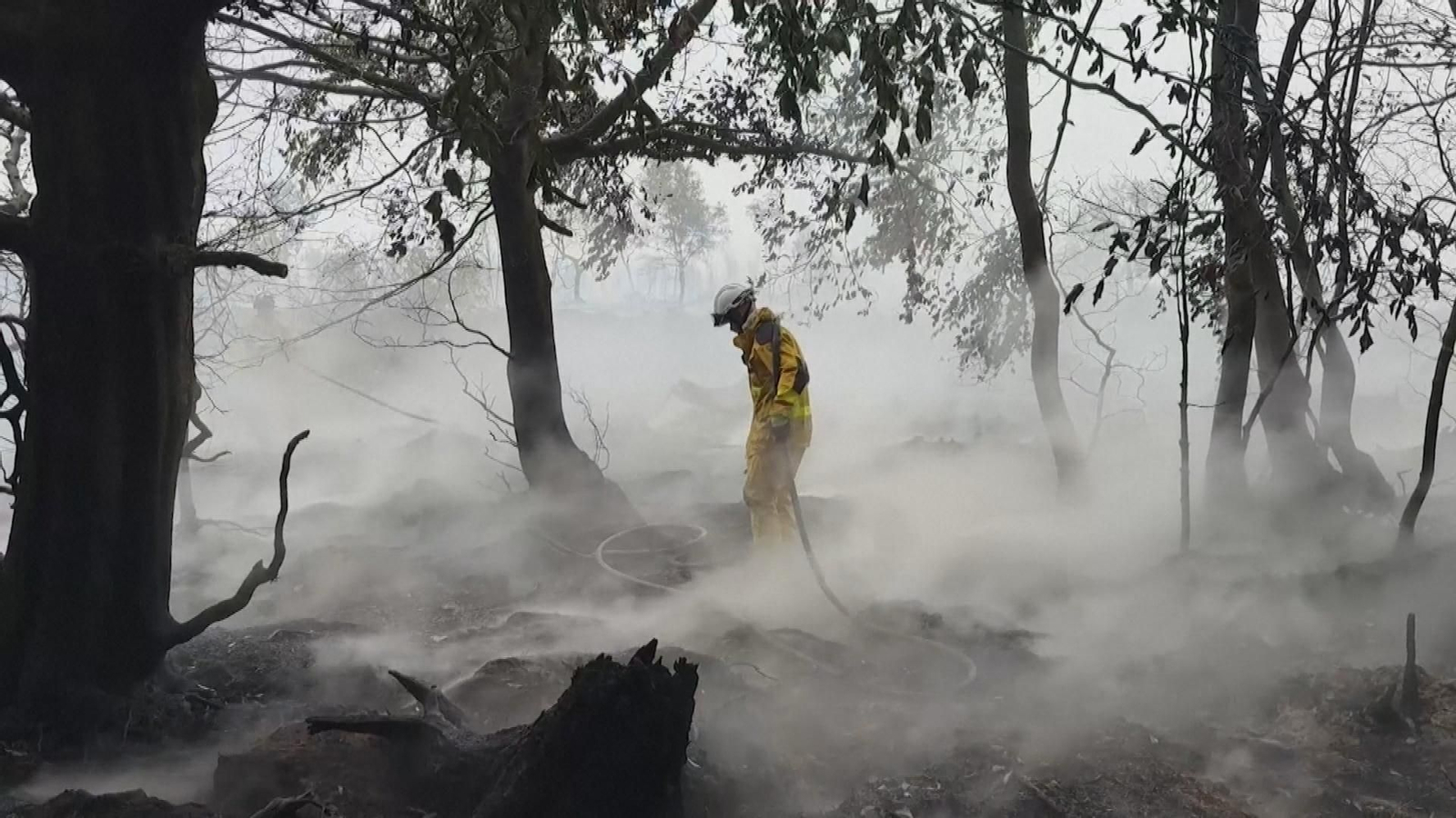 Grecia y Bélgica luchan contra el fuego en un fin de semana marcado por los incendios