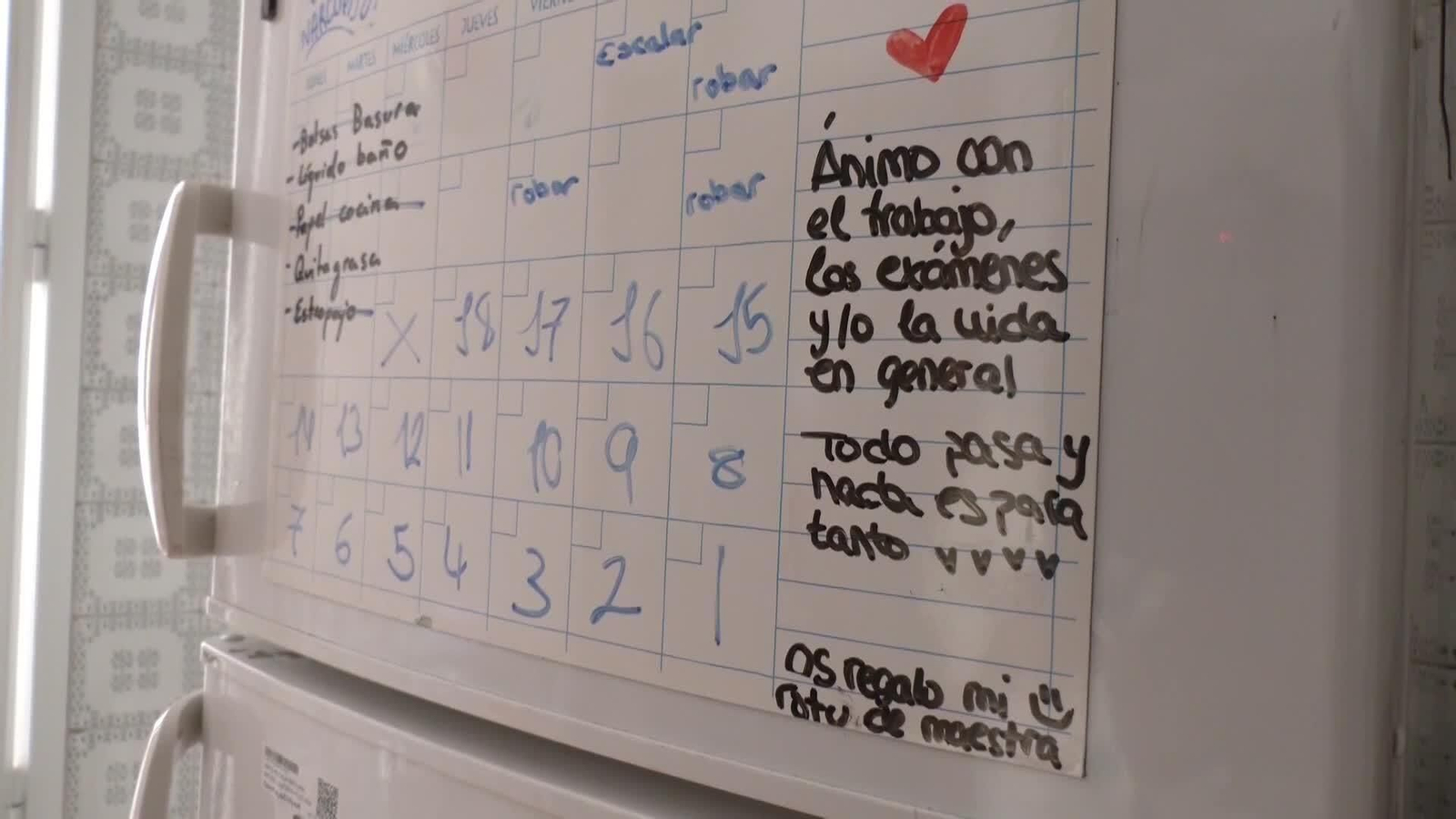 web sindrome nido lleno