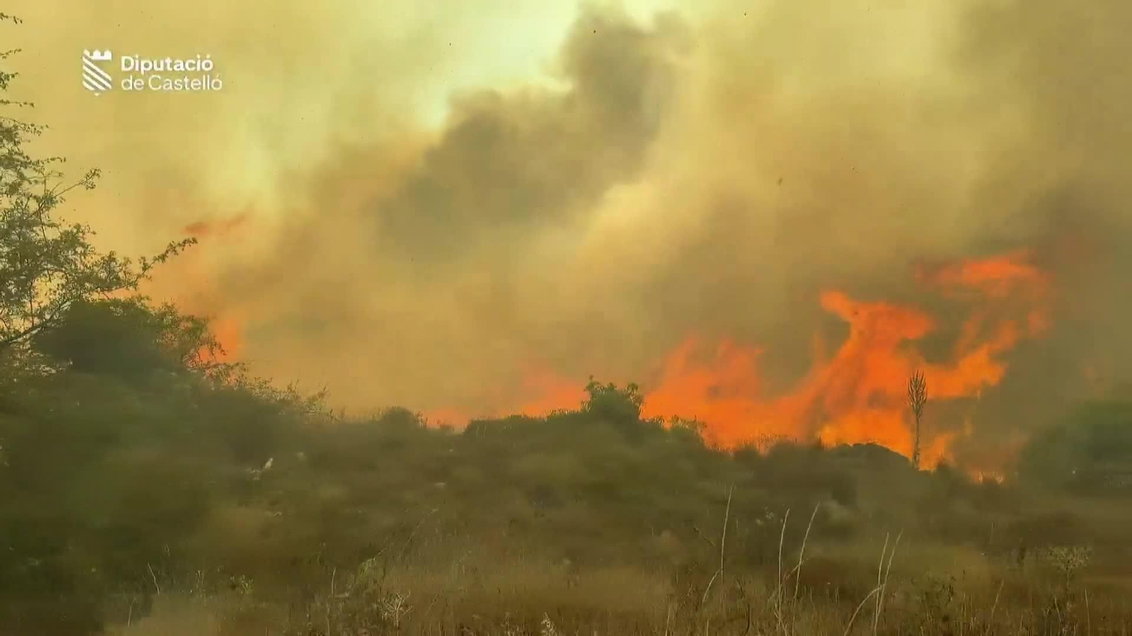 web incendio castellon tarde