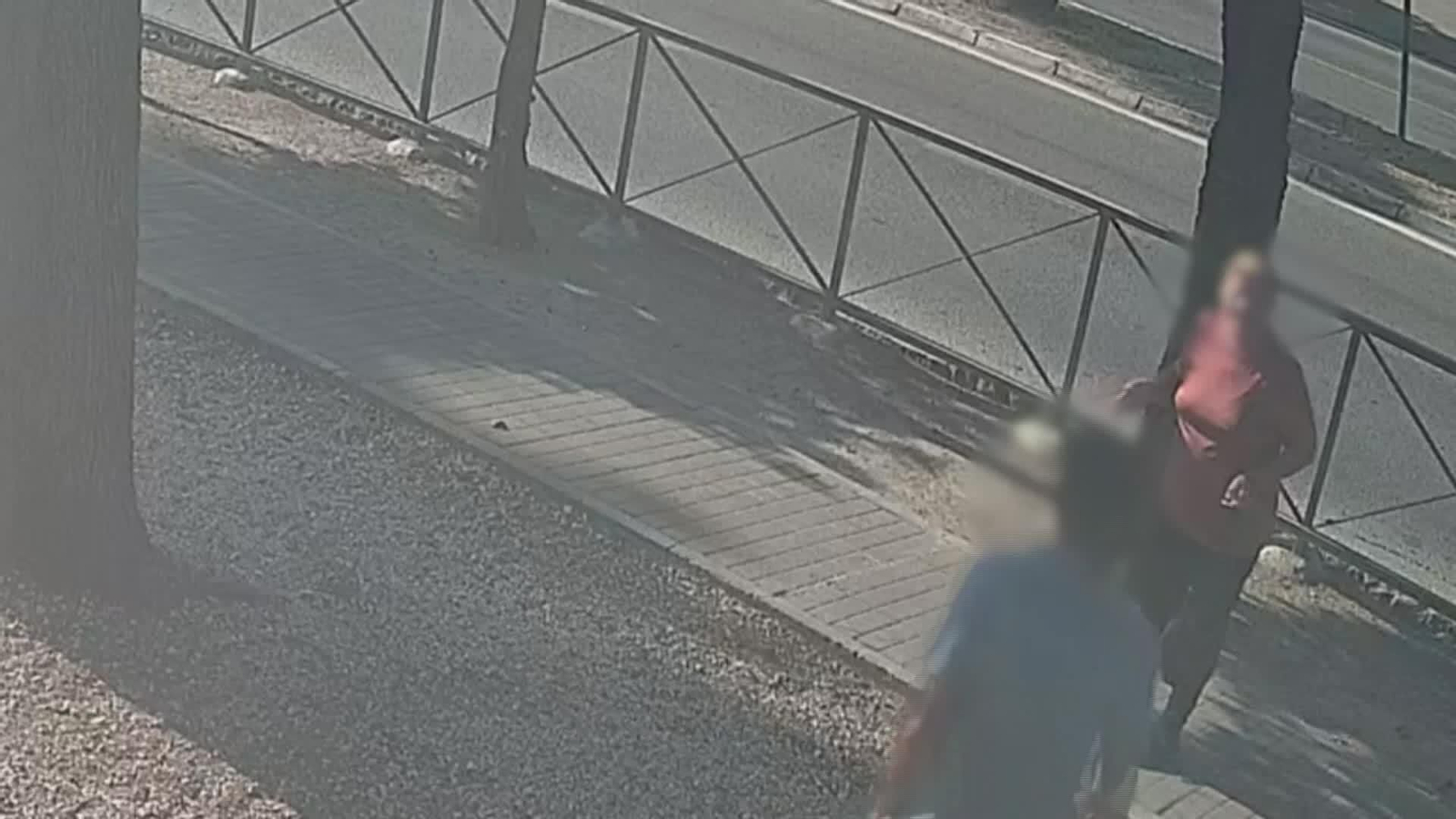 S031-IMAGENES GUARDIA CIVIL TOCOMOCHO ESTAFAS