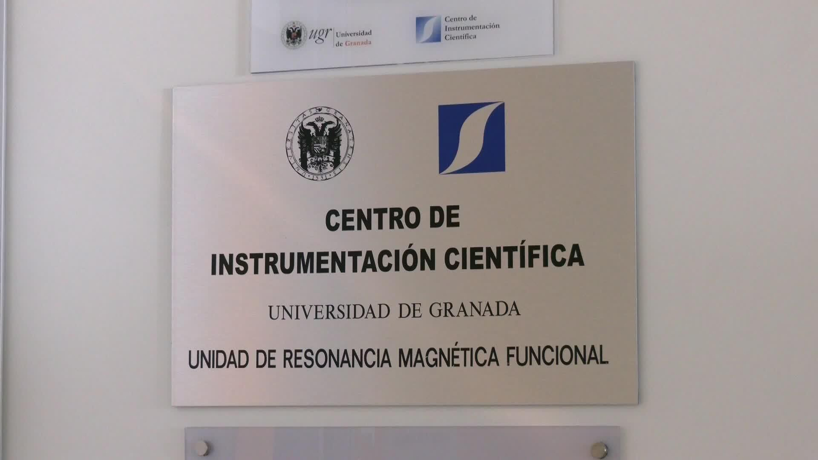 L039-GRANADA ESTUDIO MALTRATO HABITUAL Y DAÑO CEREBRAL