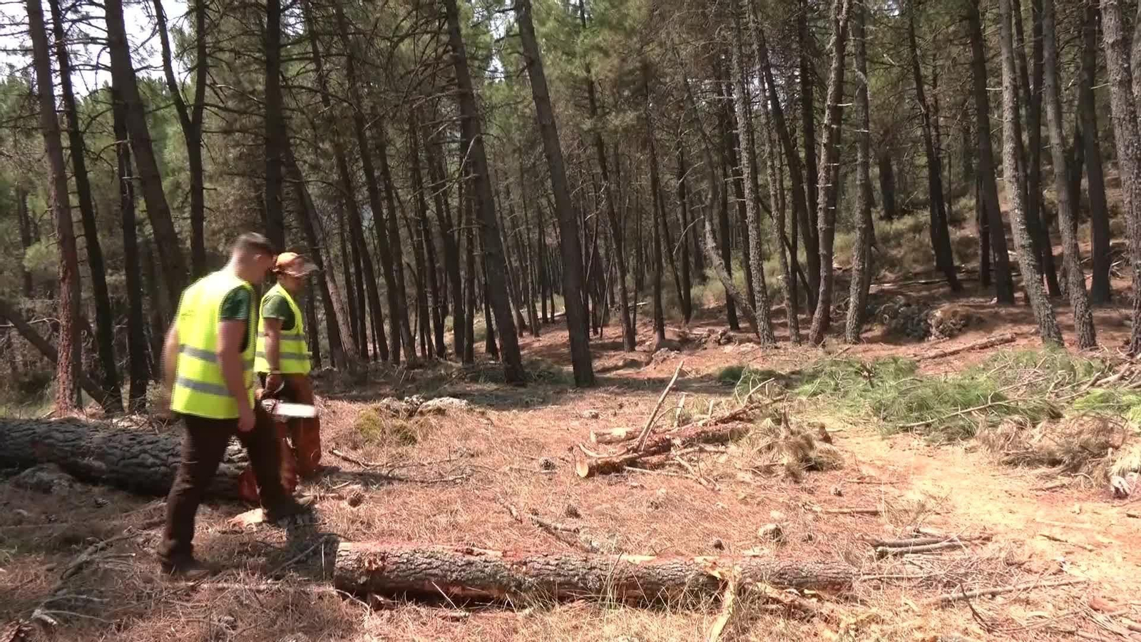 V015-JAEN EMPRESAS LIMPIEZA MONTES