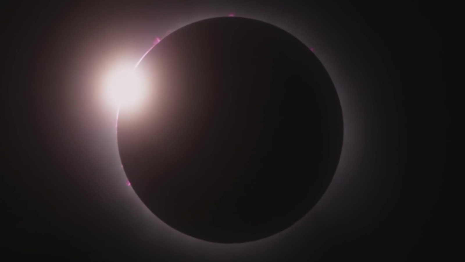 M003-EDI VARIOS GAFAS PARA ECLIPSE