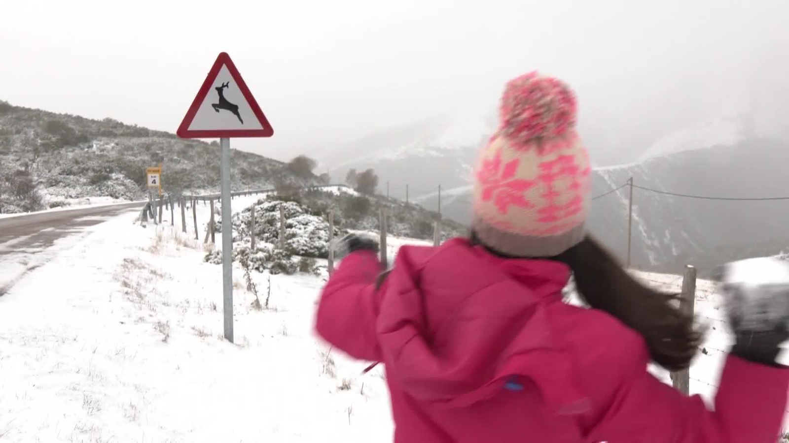 web frio y primeras nieves