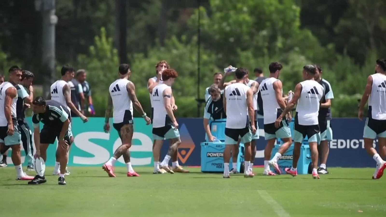 va entreno argentina