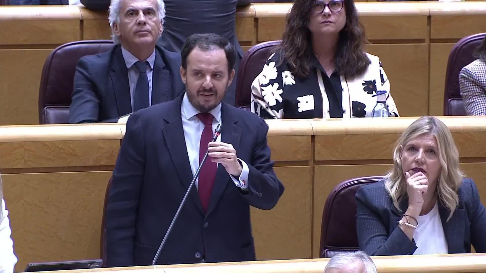 M046-SENADO PILAR ALEGRIA VS PP Y PEDRO ROLLAN