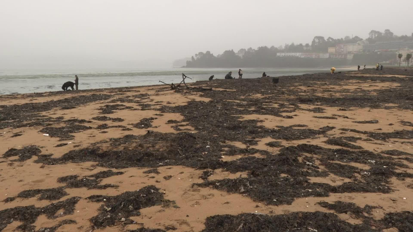 L074-A CORUÑA LIMPIEZA PLAYAS SUCIAS POR MAL TIEMPO EN SADA