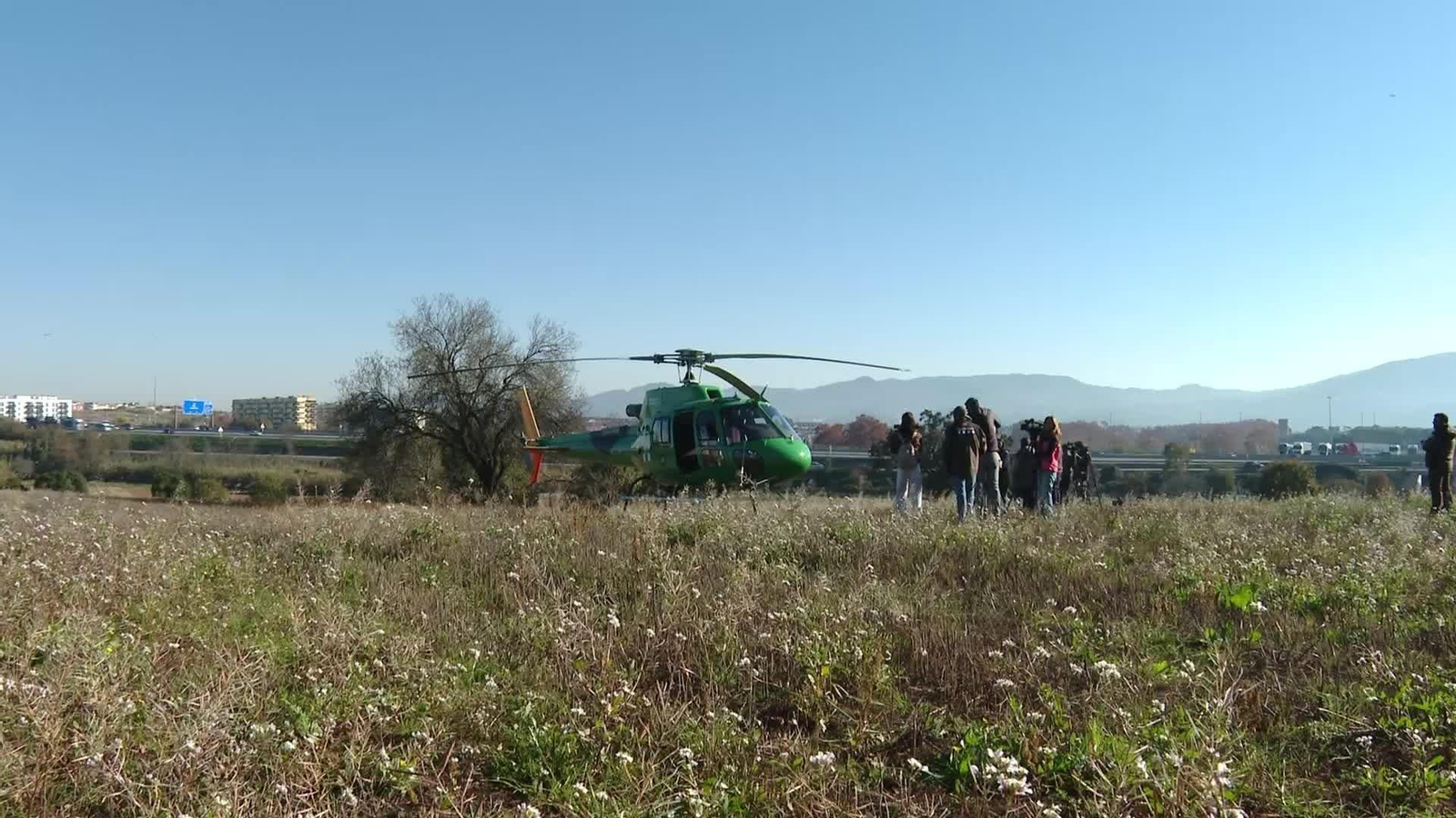 L015-BARCELONA SEGUIMIENTO PESTE PORCINA