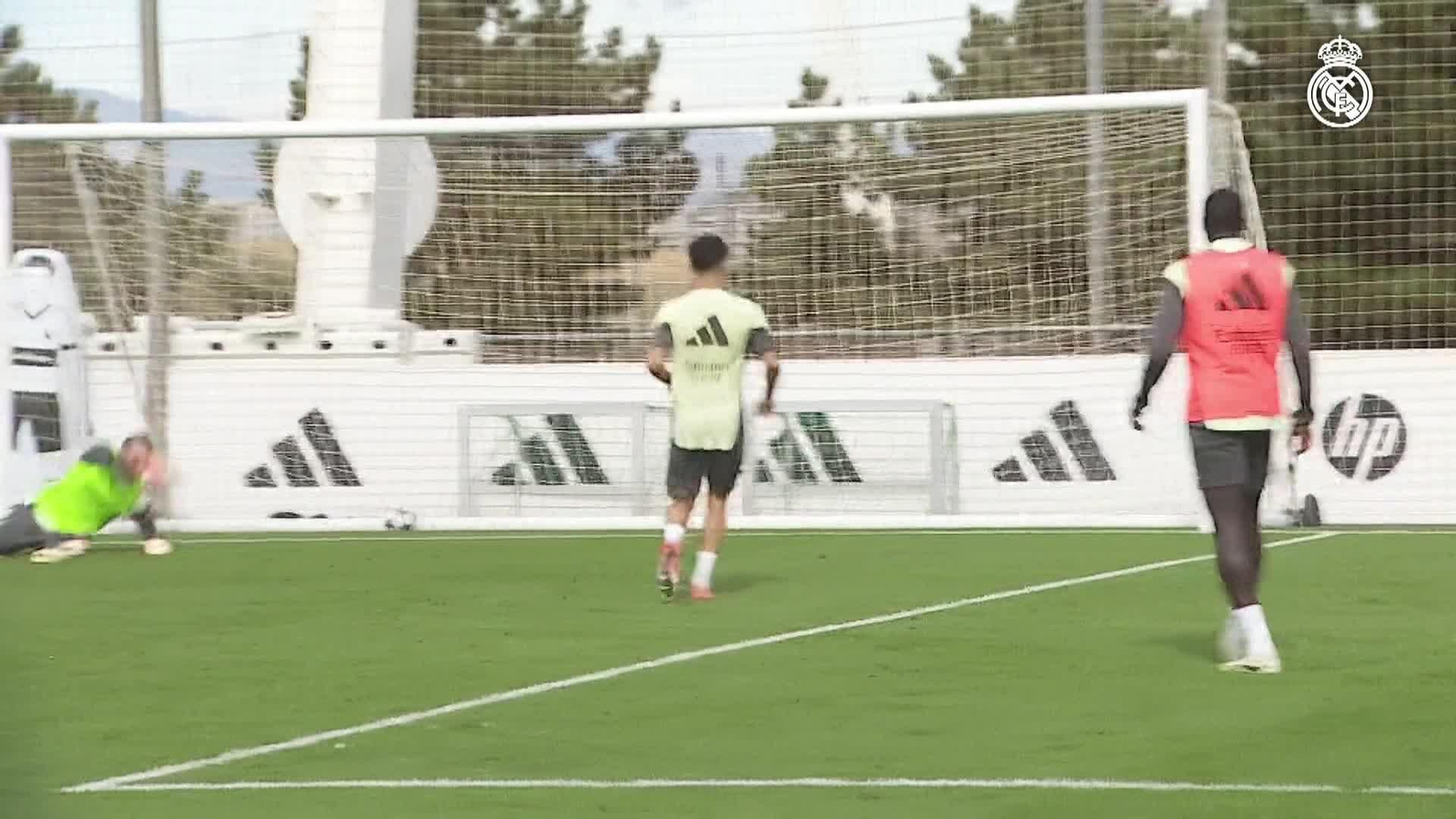 va entrenamiento rm