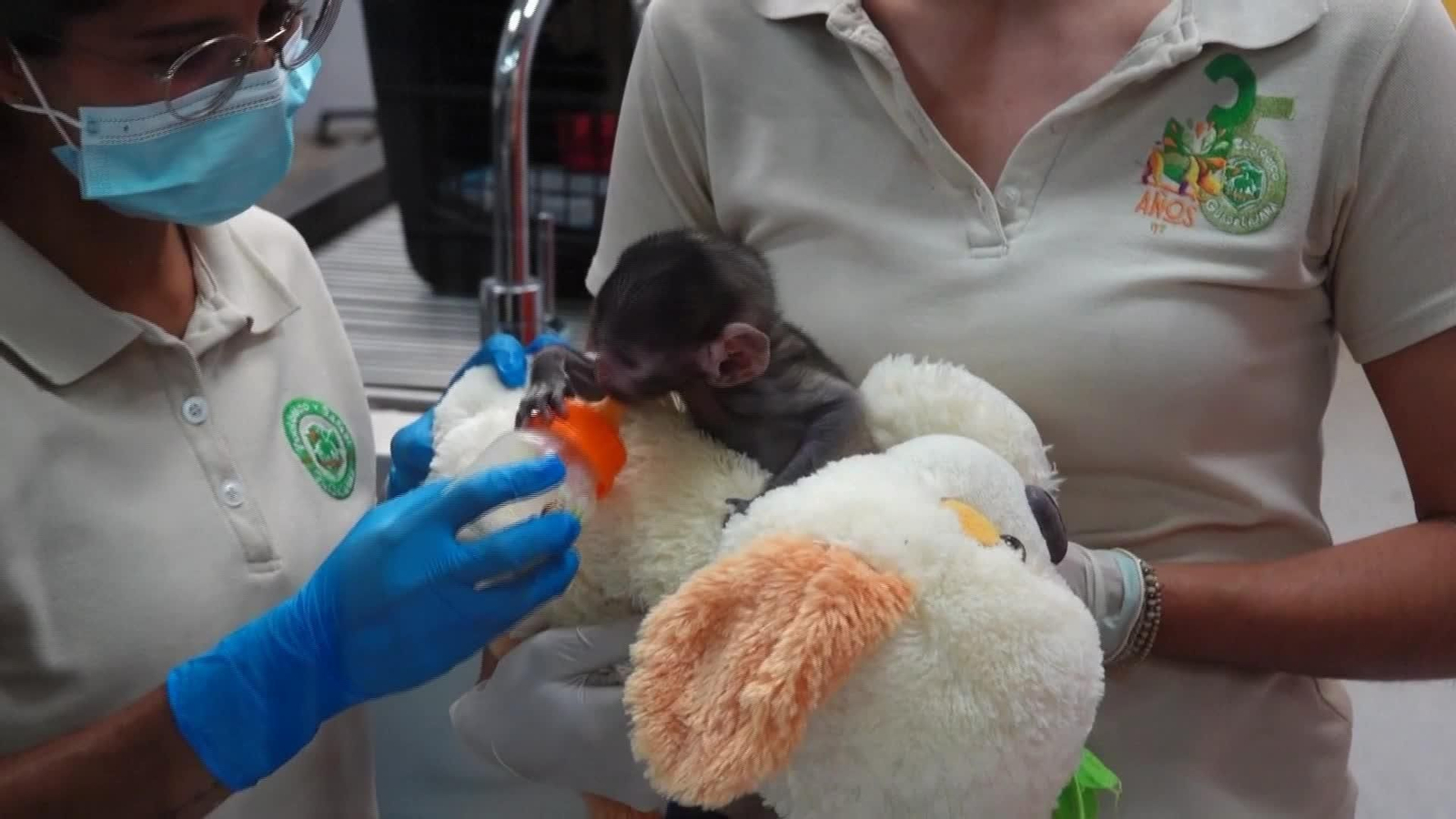 M008-MEXICO BEBE MONO PELUCHE