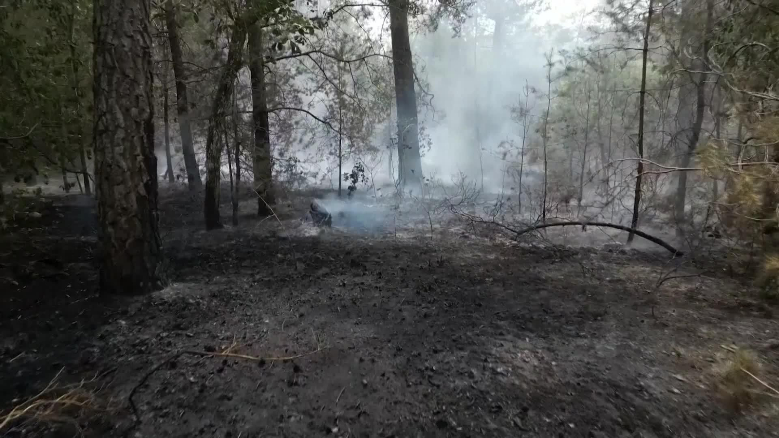 M057-FRANCIA IMÁGENES DE DRON DEL INCENDIO DE FONTAINEBLEAU
