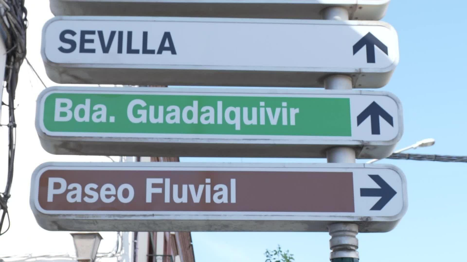 L067-SEVILLA FIEBRE DEL NILO CORIA DEL RIO