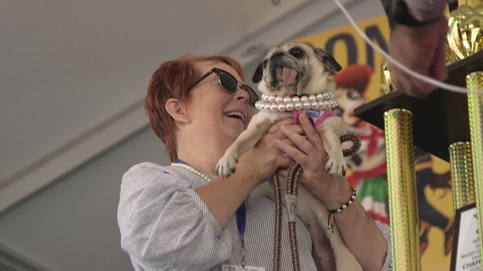 va usa concurso perro feo