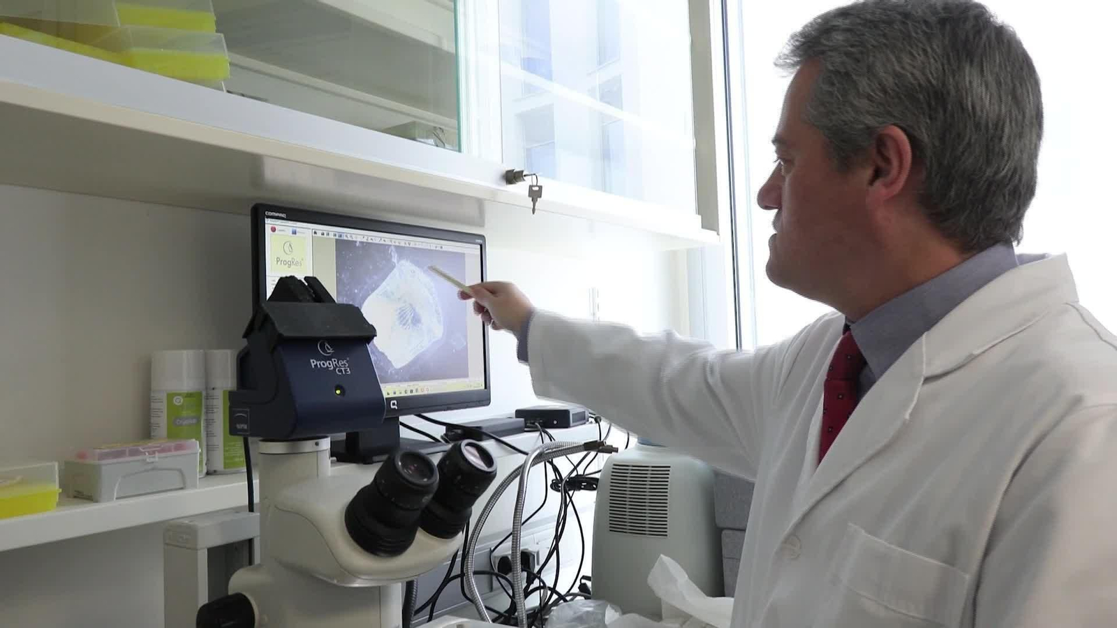 M001-EDI MADRID AVANCE MEDICO PECES Y TRASPLANTES CORNEA