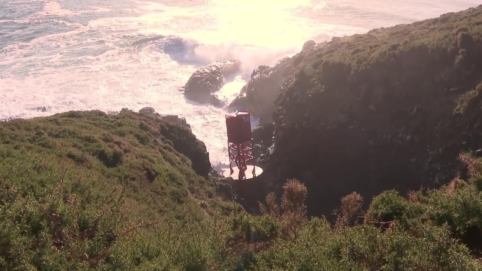 web la boya y otras mas