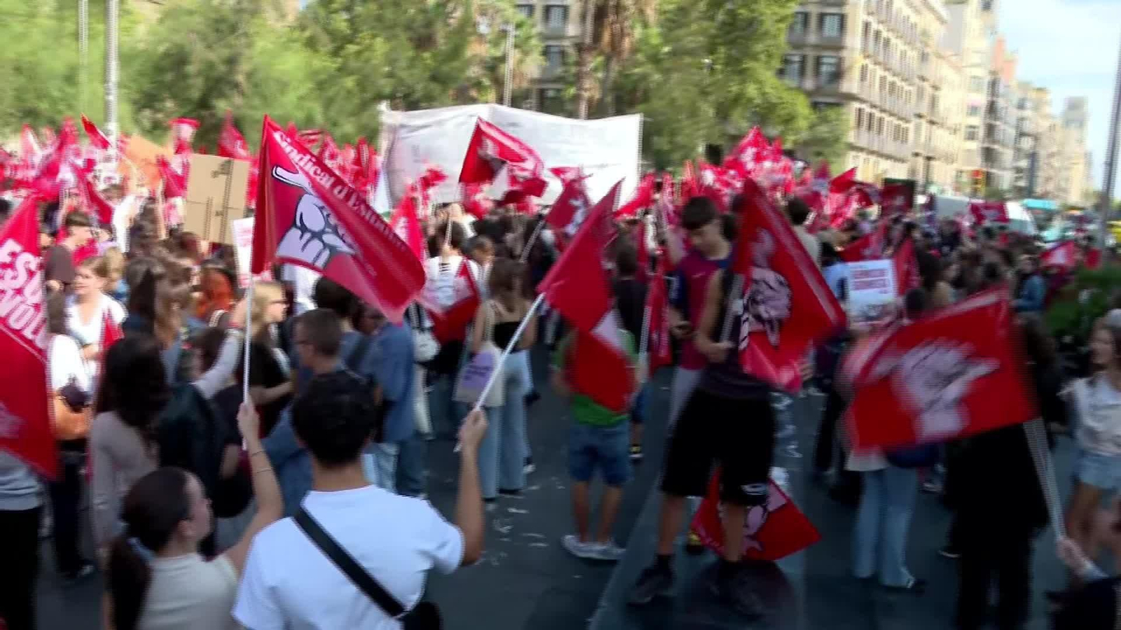J030-VARIOS MANIFESTACIONES POR PALESTINA