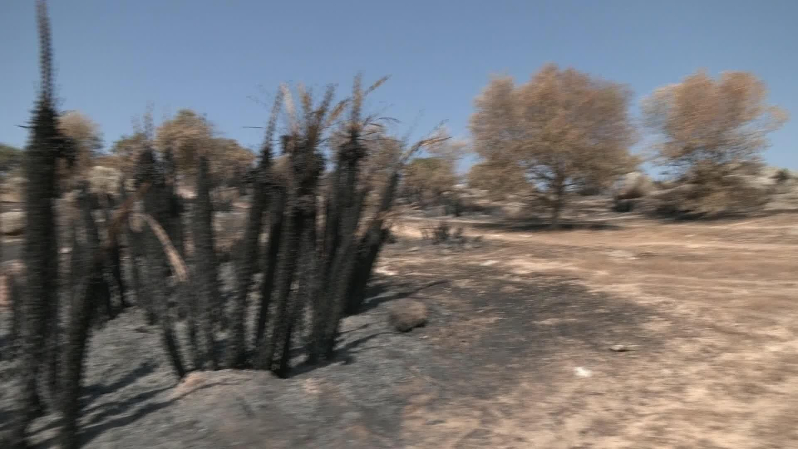 X048-EDI VARIOS INVESTIGACION INCENDIOS