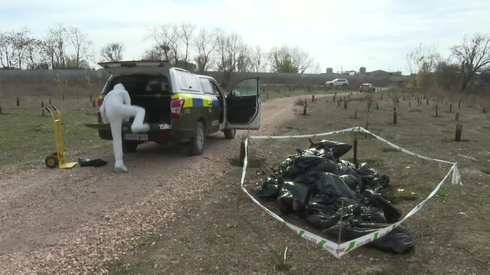 va cigueñas griposas