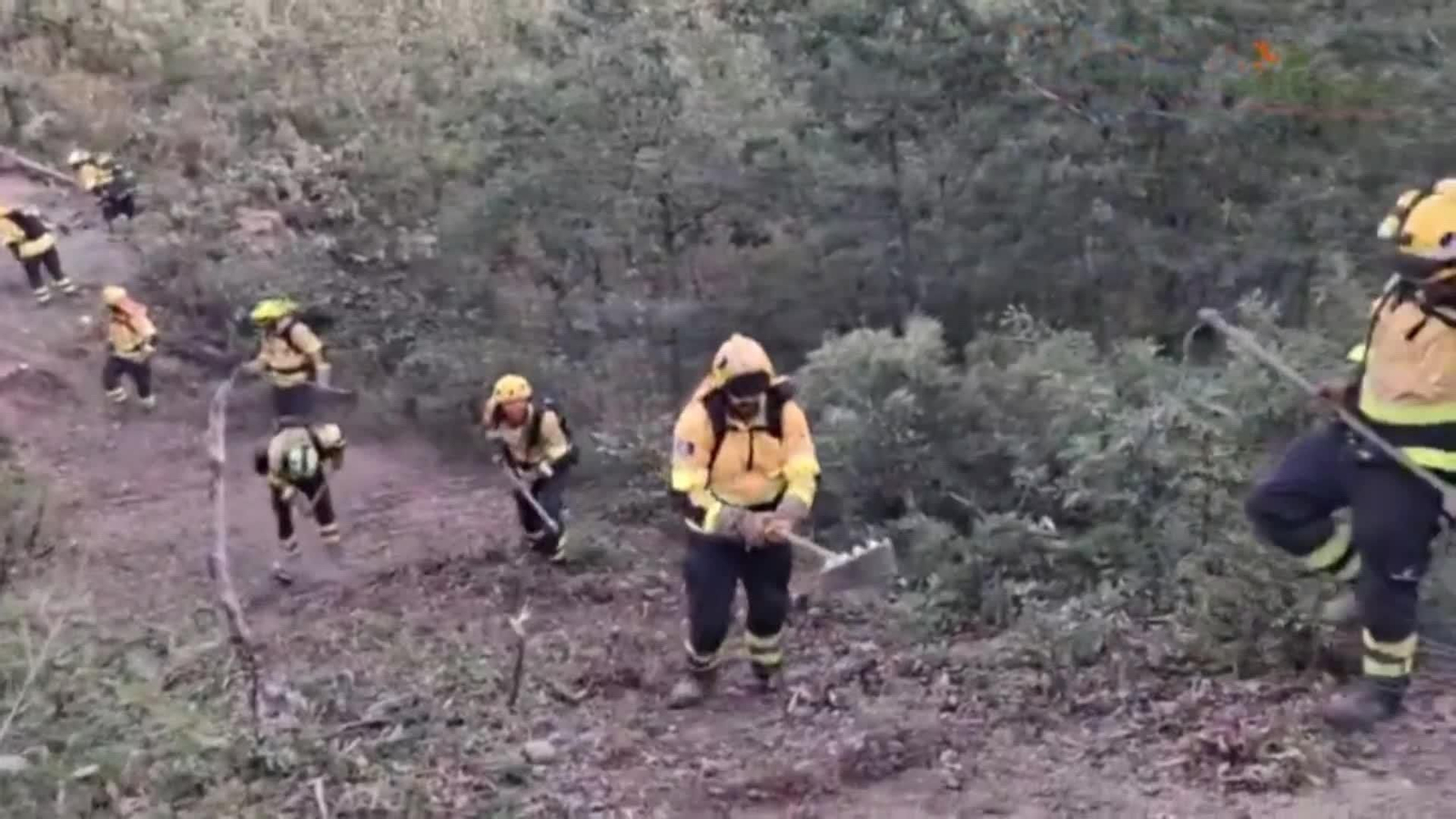 web incendio mierla jueves ok