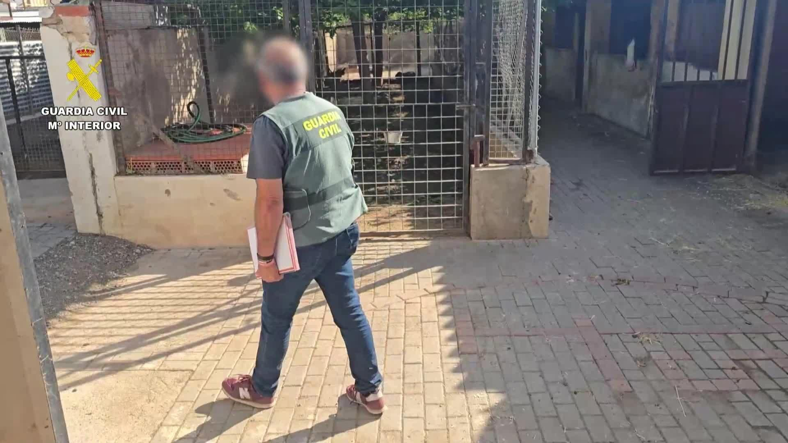 M051-EDI CEBRAS Y OTROS ANIMALES