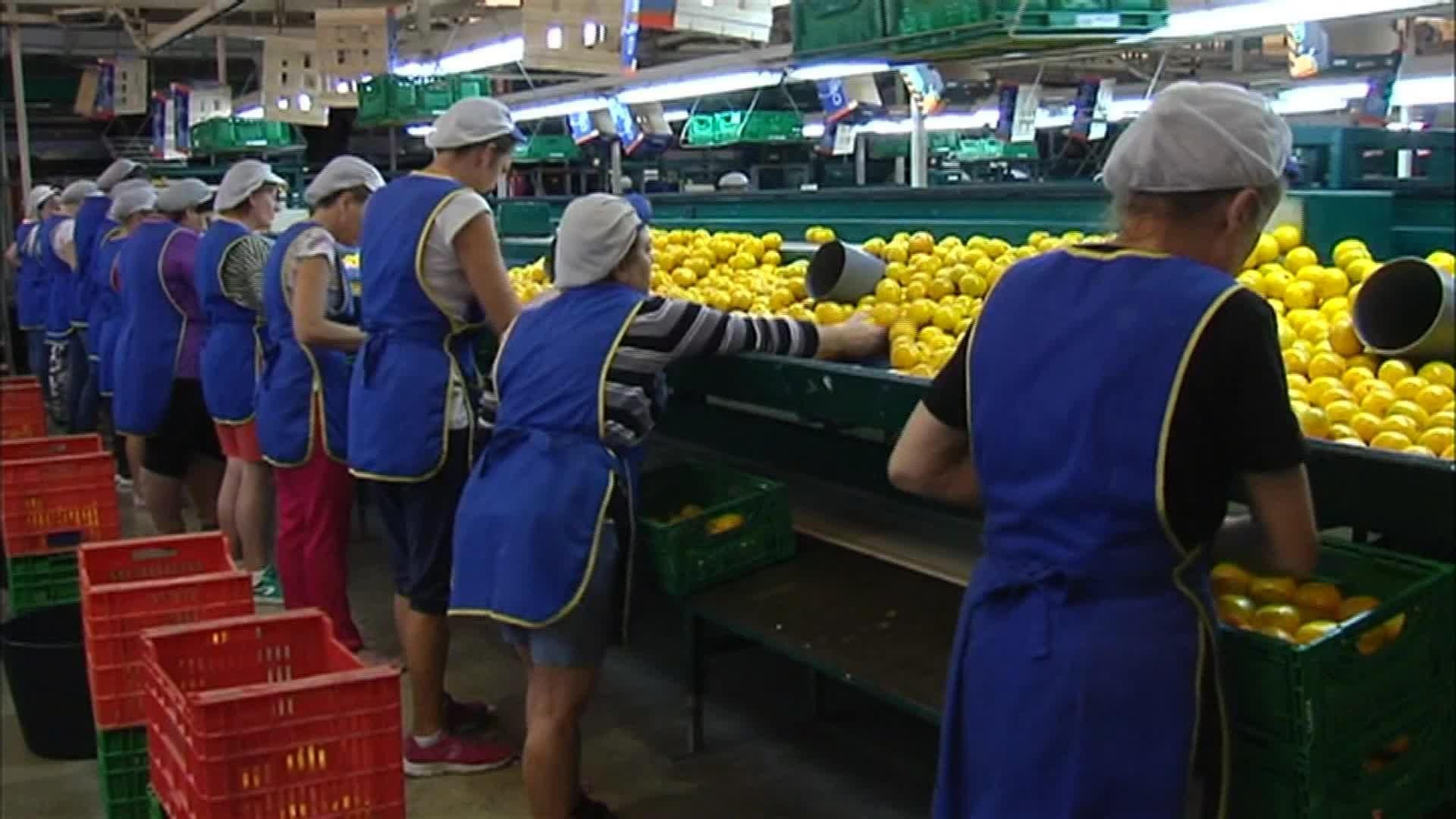 M077-EDI VARIOS INDICE DESIGUALDAD