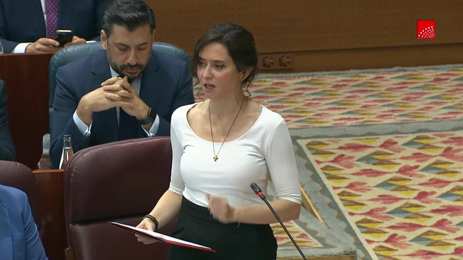 va ayuso en asamblea