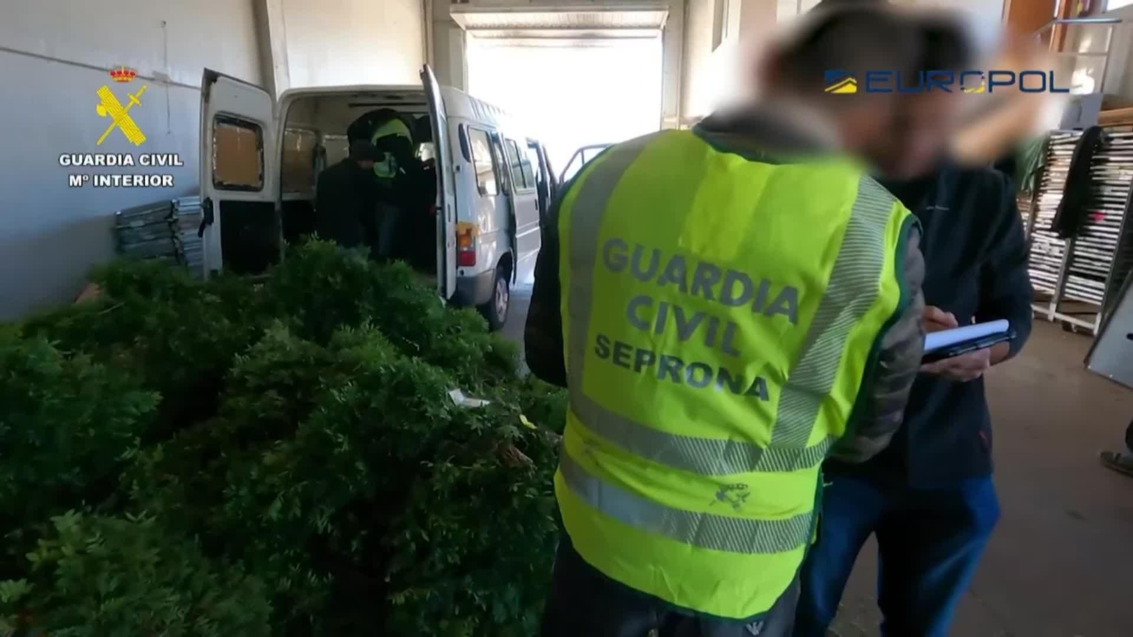 va op contrabando lentisco