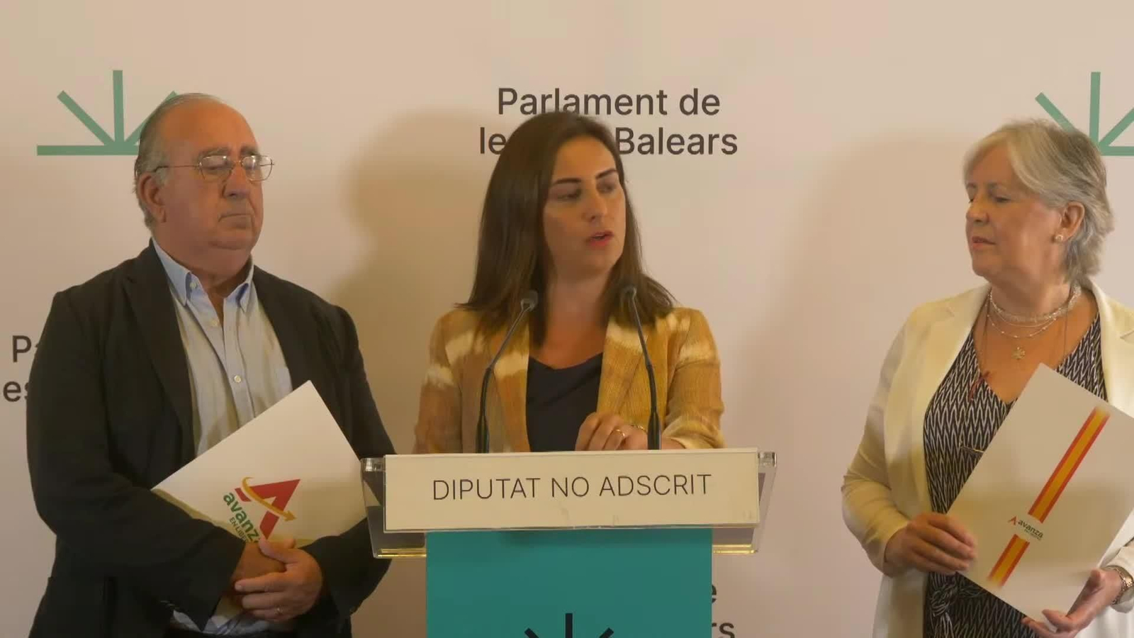 va vox estafa piramidal