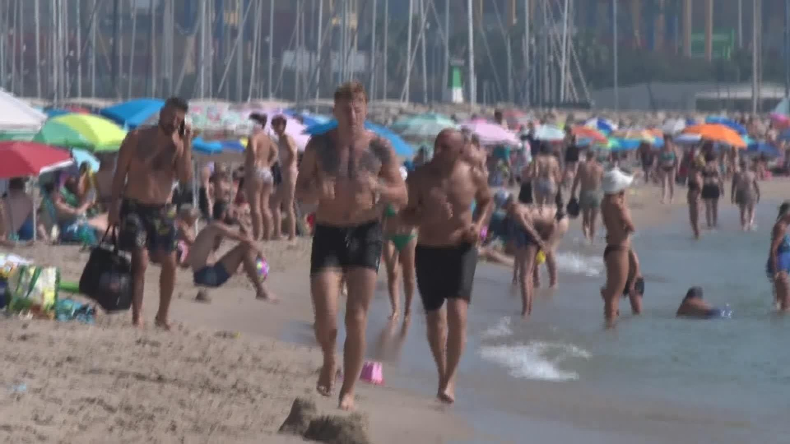 M024-VALENCIA SIN MEDUSAS EN PLAYAS POR CALOR