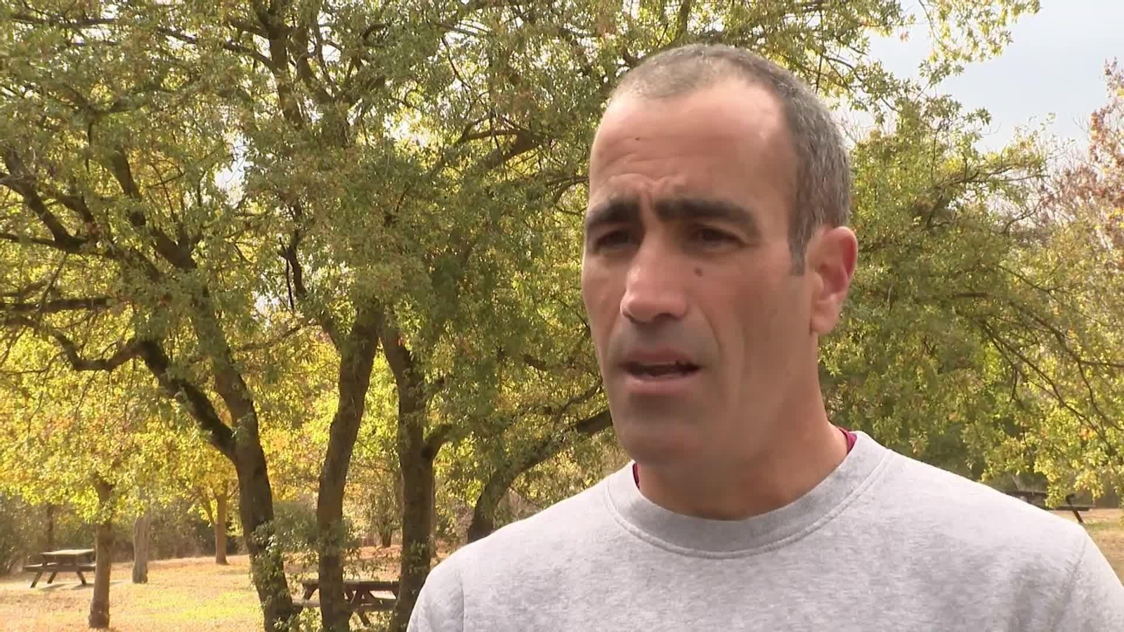 web deporte y veganos web deporte y veganos