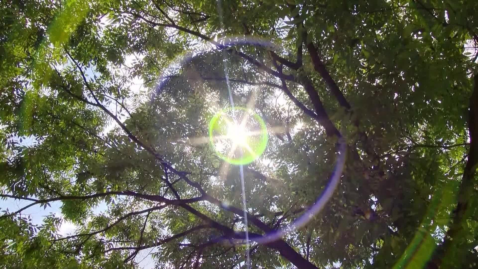 D028-COREA ALERTA EMERGENCIA POR OLA DE CALOR