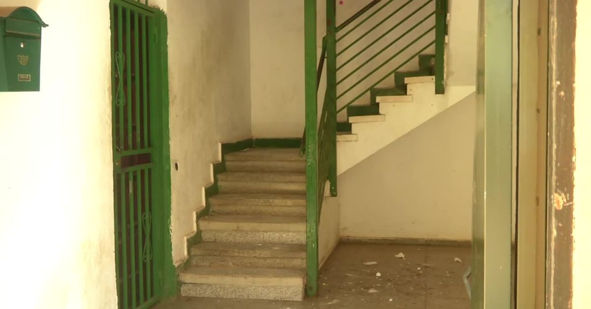 82ca9fa8-937d-453f-bb76-35d0bcb33aaf_fac