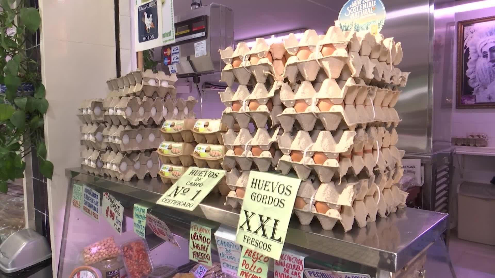 web especulacion huevos