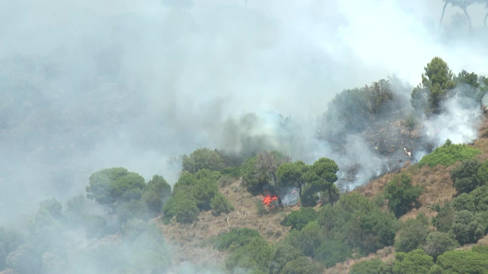 V064-BARCELONA INCENDIO TIANA TARDE