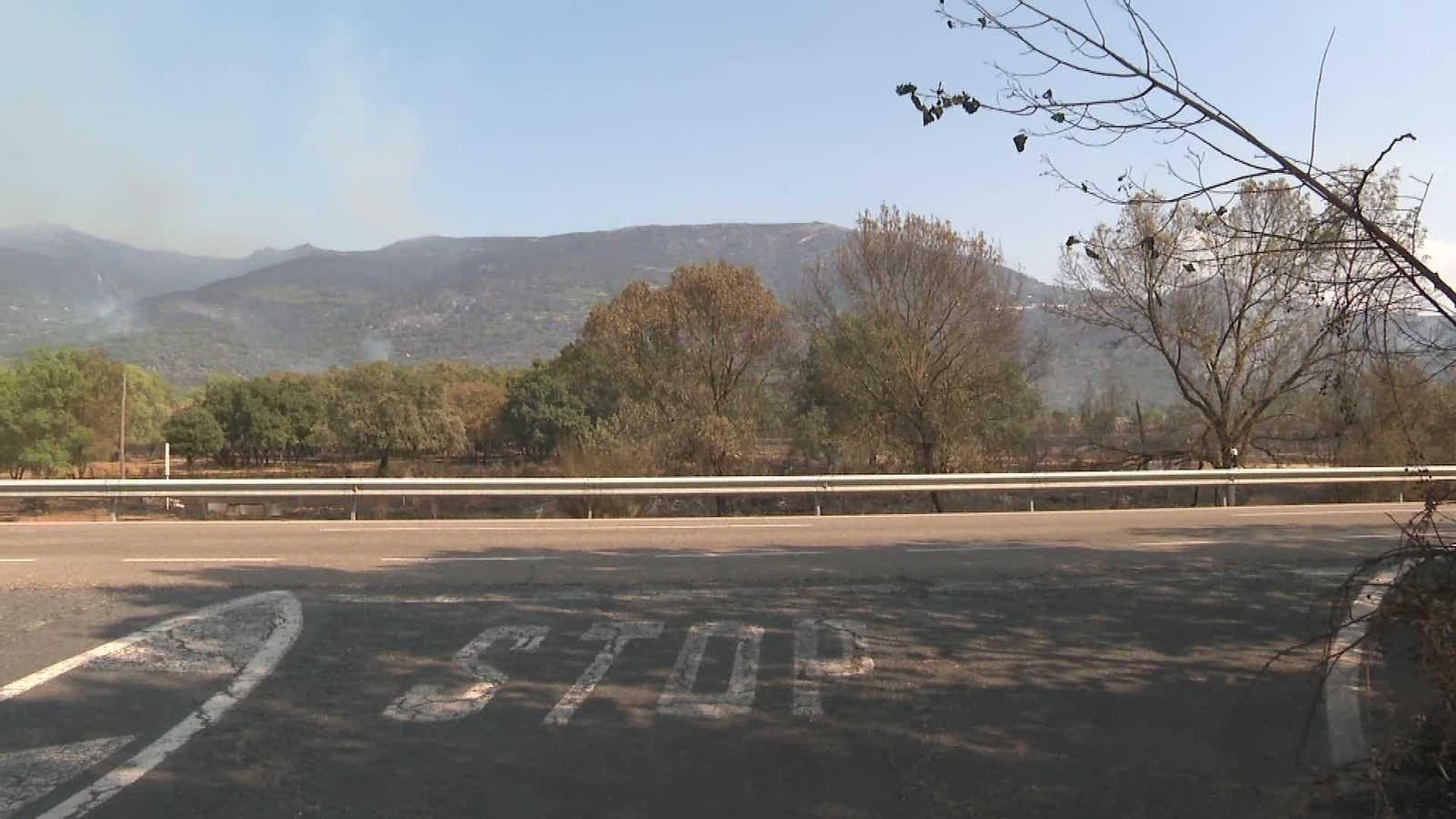 J072-CACERES INCENDIO JARILLA TARDE