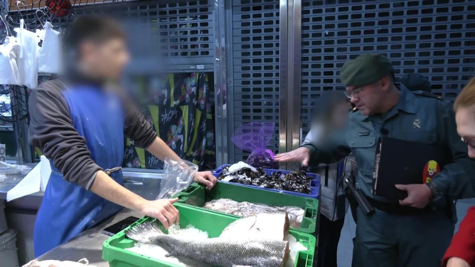 web pescado lonjas ok