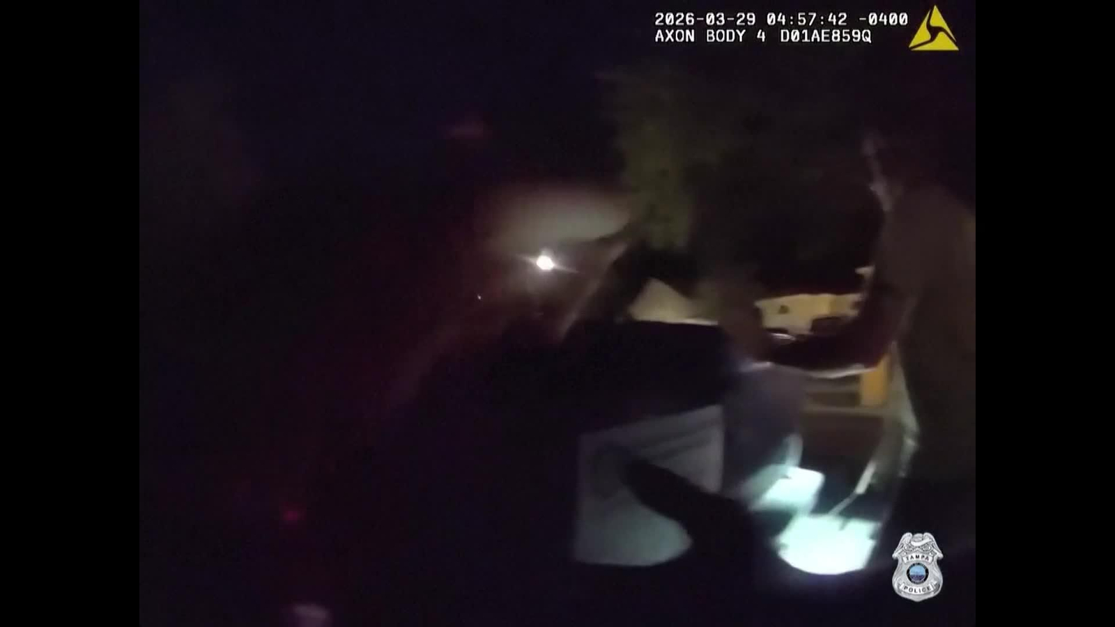 va un caiman en la piscina